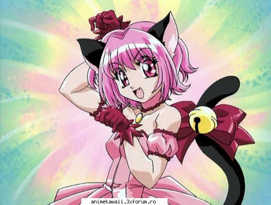 zoey the mew mew cat ....