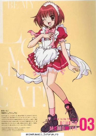 zoey the mew mew cat aici Big Anime Fan