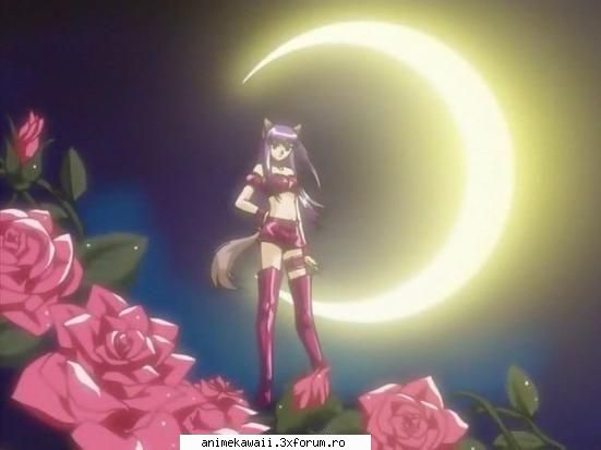 the mew mew wolf it's cute